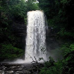 Meet your Posher, Golden